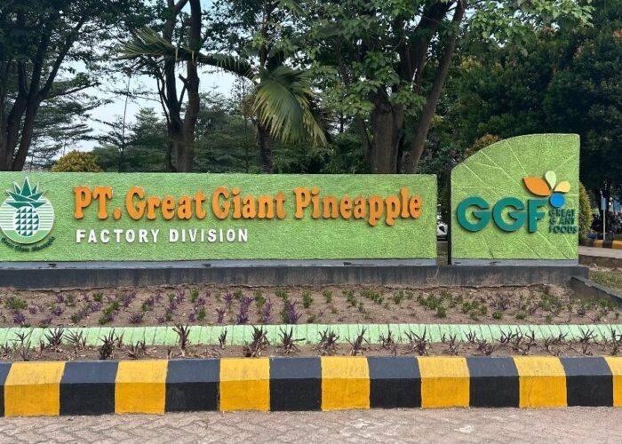 Magang PKKM di Departemen Quality Control PT. Great Giant Pineapple