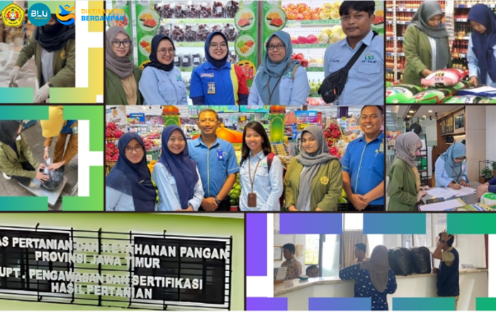 Partisipasi Mahasiswa Agribisnis UPN “Veteran” Jawa Timur Terhadap Penilaian SPPB – PSAT dan Penerbitan Healthy Certificate (HC) Di UPT. Pengawasan Dan Sertifikasi Hasil Pertanian Provinsi Jawa Timur