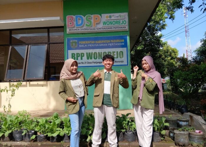 Mahasiswa UPN “Veteran” Jawa Timur Berpartisipasi dalam Kegiatan Penyerapan Gabah Bersama Bulog untuk Meningkatkan Ketahanan Pangan dan Kesejahteraan Petani