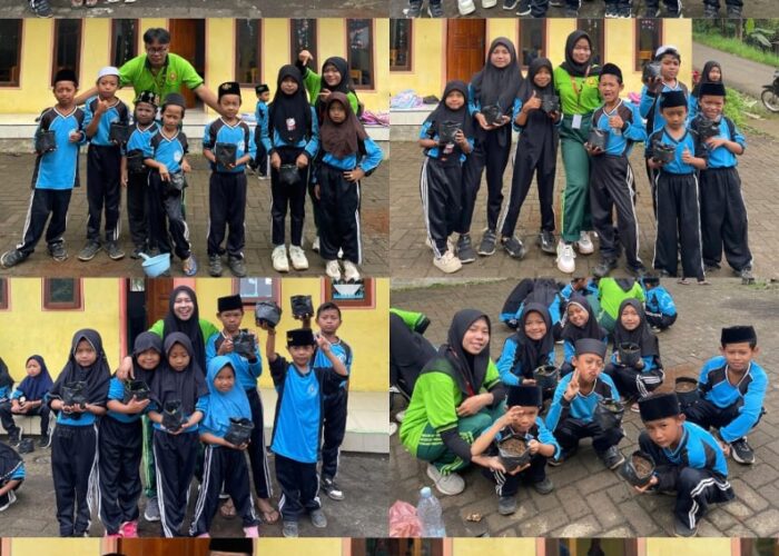 Antusias! Kolaborasi Penanaman Bibit Cabai di MI Nurul Jadid