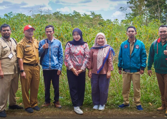 Tim Dosen Agribisnis UPN Veteran Jawa Timur Lanjutkan Penelitian Ubi Kayu di Bondowoso